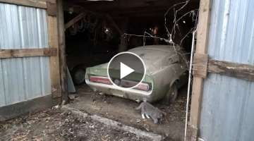 1967 Shelby GT500 Barn Find and Appraisal That Buyer Uses To Pay Widow - Price Revealed