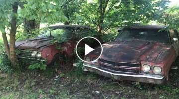 A PAIR OF TRUE SS396 CHEVELLES FOUND HIDDEN FOR DECADES IN THE WEEDS!!!