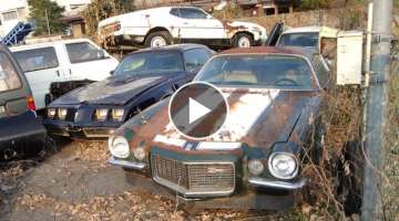 Abandoned in Japan: American Muscle-car Junkyard: Split Bumper Z28, 429 Mach 1 Mustang