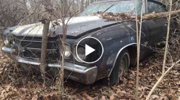 Animals Found Living In A $6-figure Rare 1970 L78 Chevelle Rescued From The Woods In Arkansas